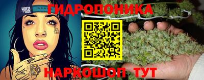 гашик Пушкино