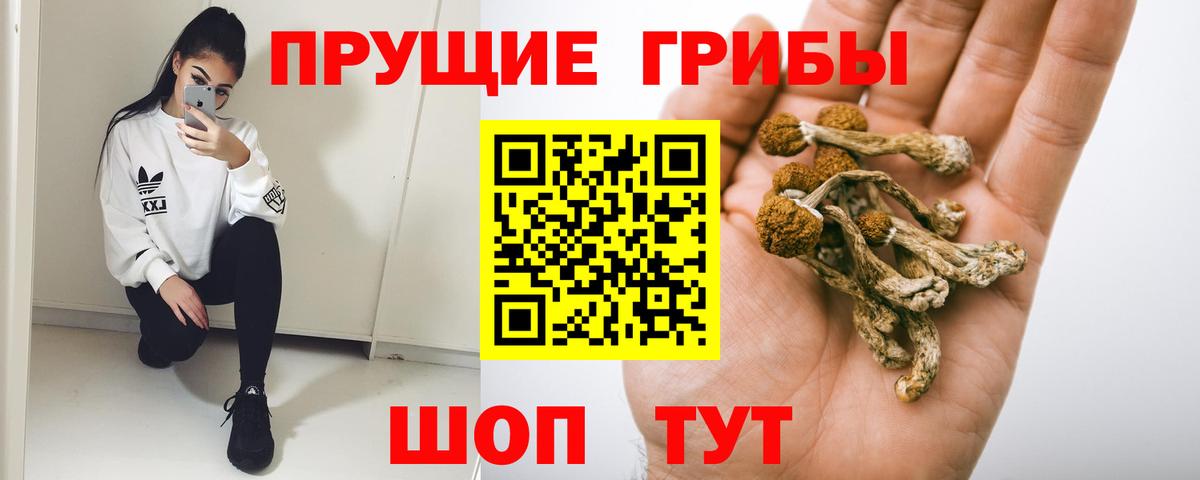 Галлюциногенные грибы GOLDEN TEACHER Обнинск
